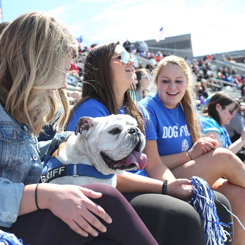 Three Drake University students sitting next to eachother with Griff the Bulldog in bleachers outside during a Drake sporting event