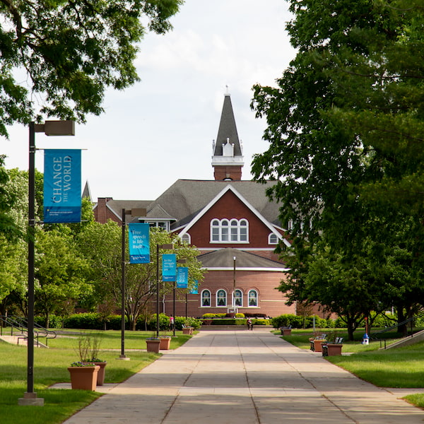 Tree-lined campus walkway leading to a red-brick academic building with a tall steeple, with blue banners on lampposts along the path.