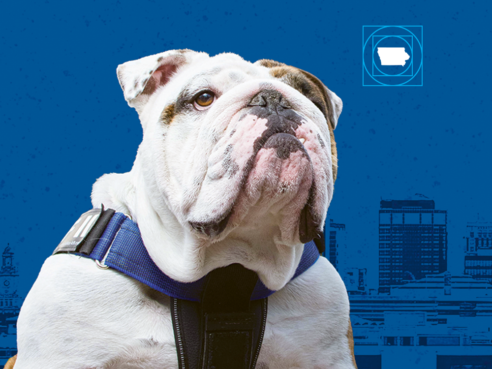 Bulldog Promise - Griff II in front of a blue DSM city scape graphic background.