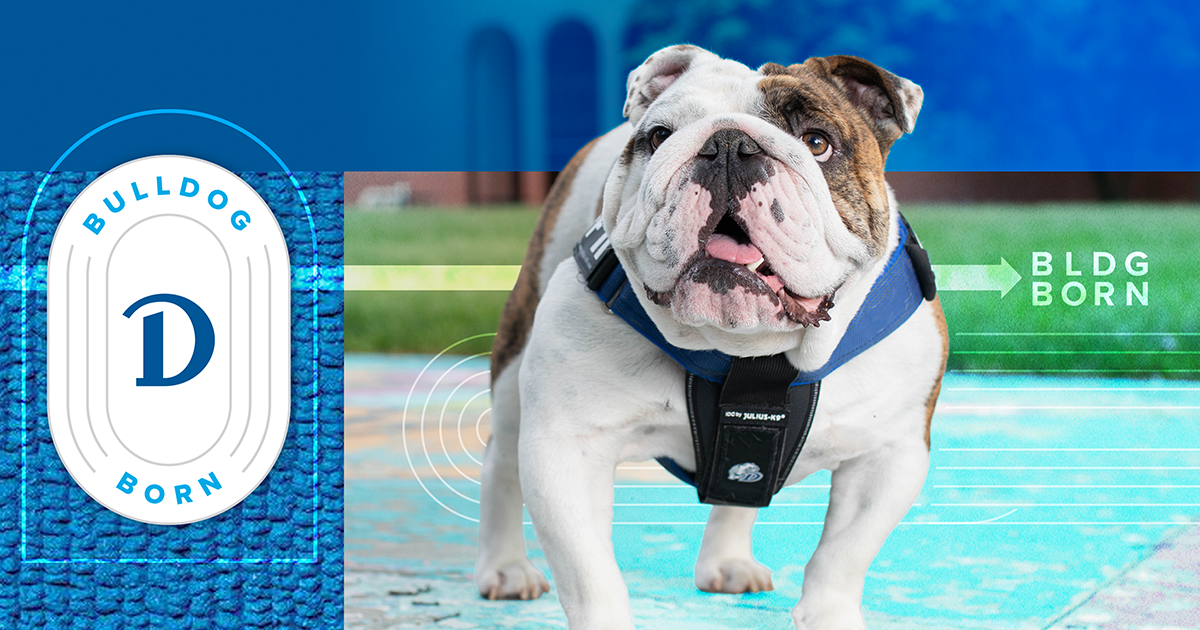 Bulldog mascot
