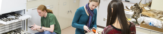 Biology lab
