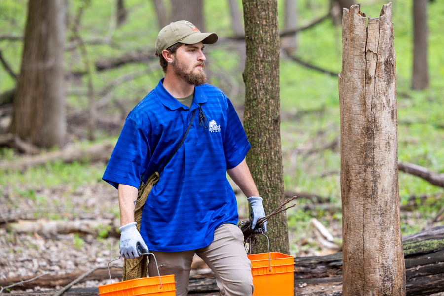 A Drake student in a baseball cap carries two orange buckets during a research trip that took students to a wooded area