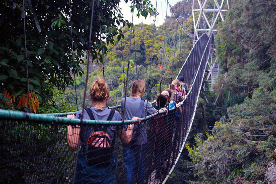Through a wooded area, Drake students walk in a line over a narrow bridge during a study abroad trip