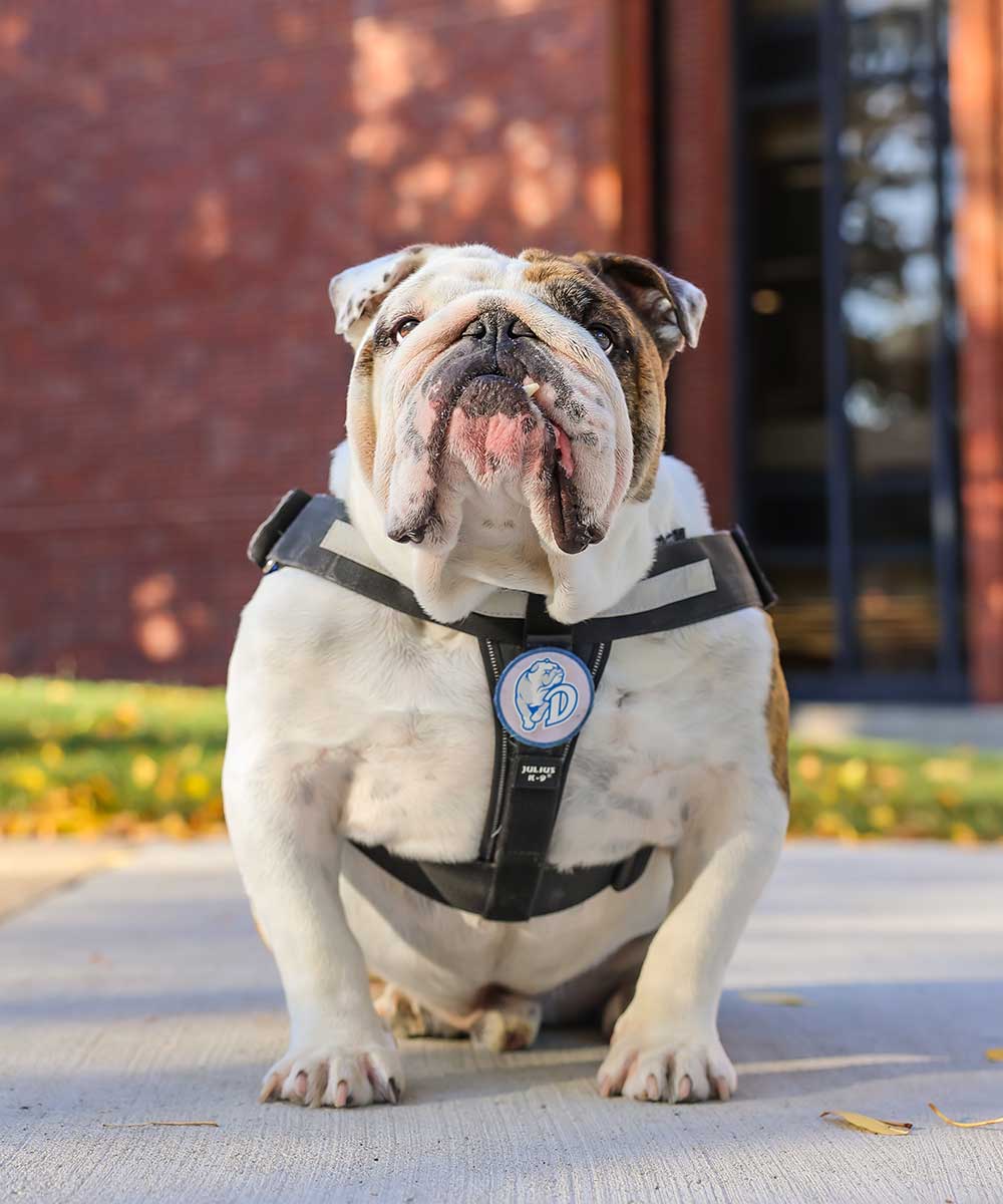 George sitting in front of Cowles Library