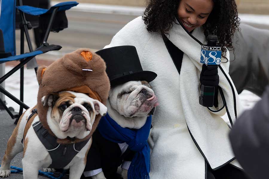 Griff II and Griff III sitting on stage at the first Griff-hog Day with a KCCI reporter.